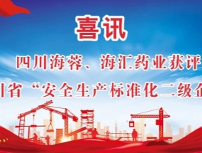 海蓉、海匯藥業(yè)獲評“安全生產標準化二級企業(yè)”
